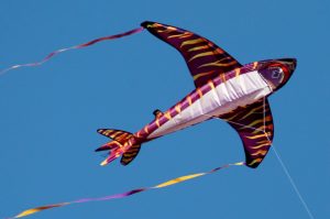 Kitty Hawk Kites Beach Kite Festival